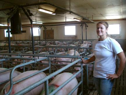 法国芒通河畔圣西尔小镇小猪庄园——种养结合的现代养猪场