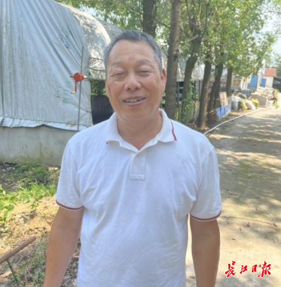 武汉市民尝鲜“云养猪”：在鄂州养猪场认养，10个月后“抱”回300斤土猪