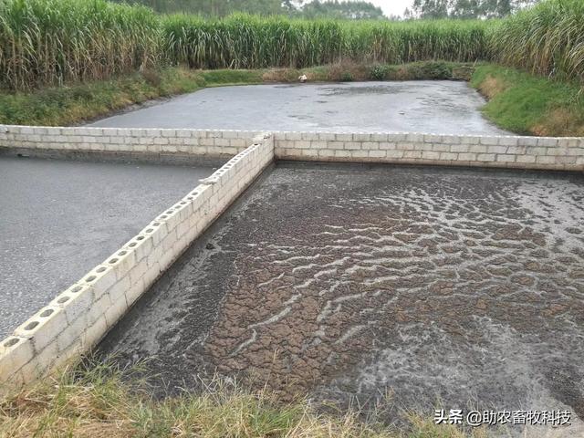 快速发酵沼液直接浇灌农作物不烧苗液态肥技术，每吨只要1元左右