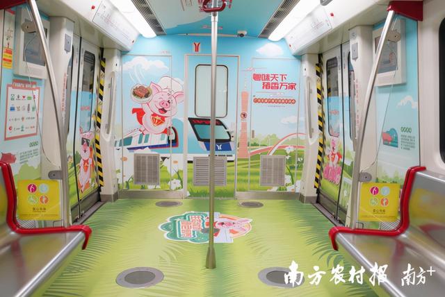 “二师兄”进地铁啦！广州地铁“生猪产业振兴号”重磅来袭