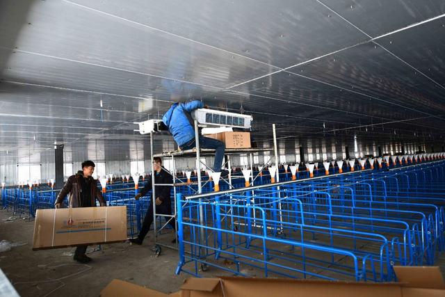 北京帮扶阳原建设现代化养猪场，未来或成“河北第一”