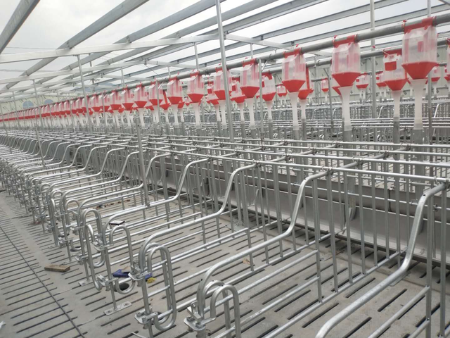 养猪场都在使用的现代化养殖设备你知道有哪些吗？