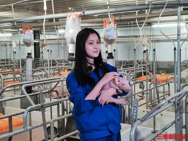 长沙24岁“养猪女孩”回应质疑：没炒作，普通分享，“科普”养殖业