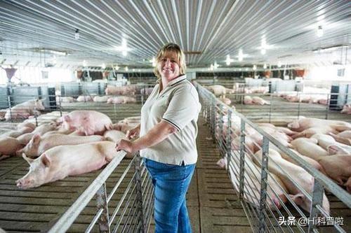 美国人不爱吃猪肉，为什么还是养猪第一强国？他们是怎么做到的？