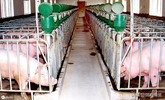 养猪场粪尿污水的处理方式和利用途径
