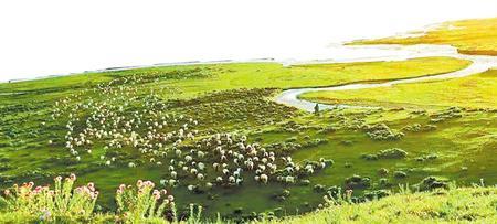 历史上的甘南及青藏东部畜牧业