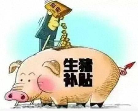 国家鼓励农民养猪，这四大补贴政策，你知道吗？