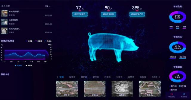 四川遂宁：数字化赋能的种猪场 有“千里眼”和“顺风耳”丨数字天府·市州力量