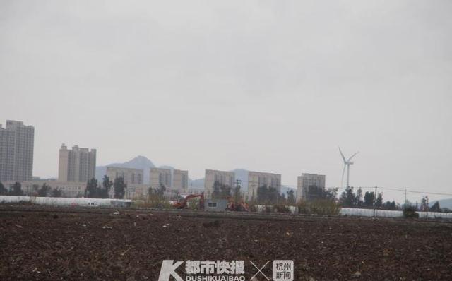 温岭箬横：浙江省集中养殖量最大的生猪养殖场