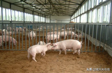 养猪场环境污染综合防治与处理措施