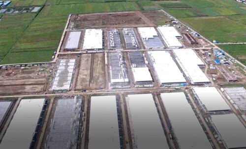 河南南阳要占1.5万亩基本农田建养猪场 专家：操作过程经不起推敲