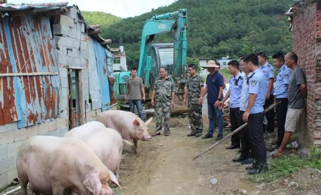 猪场被强拆原因曝光，让人意外。如此行径，农民生活还有出路吗？