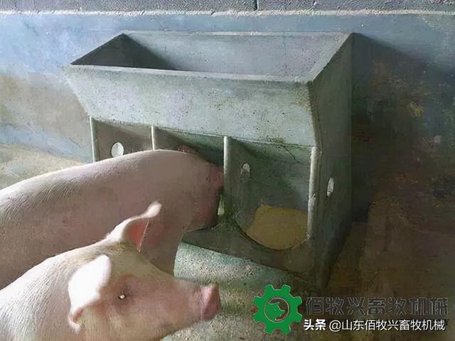 猪用料槽多少钱一个？