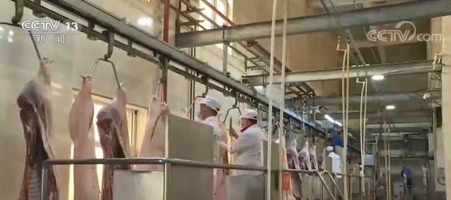 黑龙江：生猪产能稳步恢复 全力保障猪肉供应