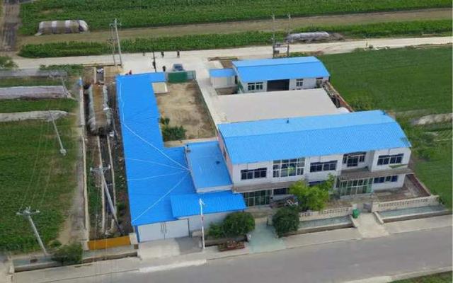 中国农科院发布新版猪场复养技术指南