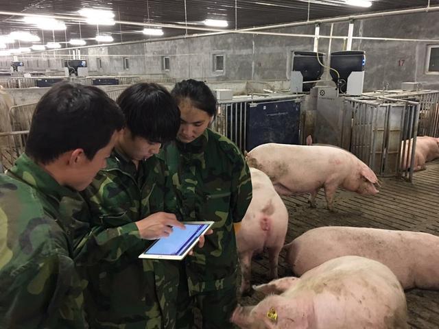 海归人才投身养猪行业，广东德兴加快推动三产融合发展