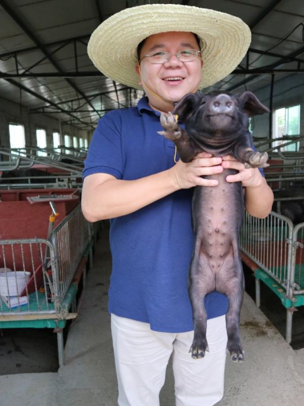 贵州倔强的猪倌养爱“跑酷”猪，卖猪不能看规矩多，年目标1.2亿