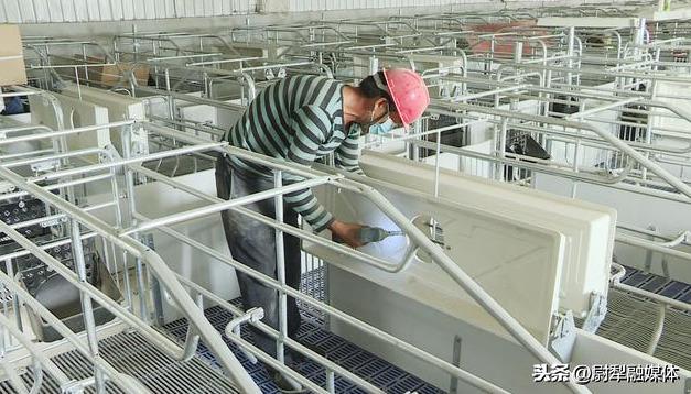 新疆羌都天佑猪业有限公司20万头自繁自育生猪养殖项目加快建设