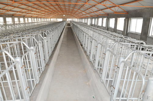 建设一个年产5000头的猪场，需要多大地方，需要多少钱？