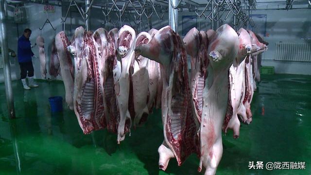 陇西县生猪生产和猪肉供应稳定有序
