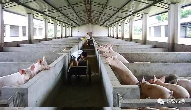 来看养猪场空气能地暖怎么做！节能省钱+发热均匀+智能化！
