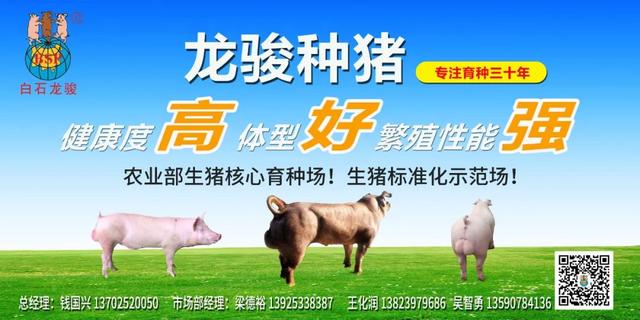 2021年2月，牧原、温氏、正邦、新希望等八大养猪巨头排名出炉