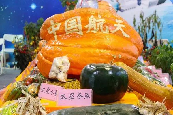 养猪之后，刘强东宣布种菜！价格低、不用洗、一年亩产30吨