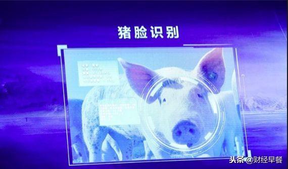 马云、刘强东纷纷入局，为何大佬们都爱上了养猪？