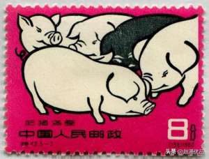养猪邮票(特40养猪邮票价值如何？猜猜现在能卖多少钱？)