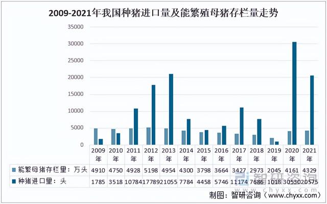 洞察2021：一文了解中国生猪养殖行业发展现状 (附经营模式等)