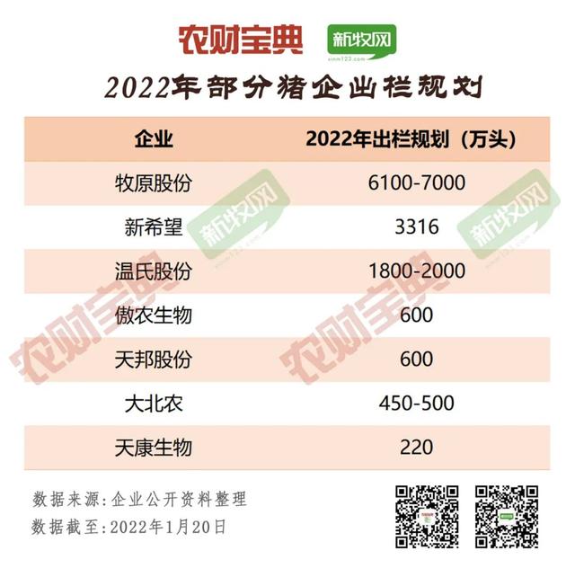 中国猪业龙头TOP20分析！出栏130万头才可上榜，60%为饲企转型！前7强均超500万头