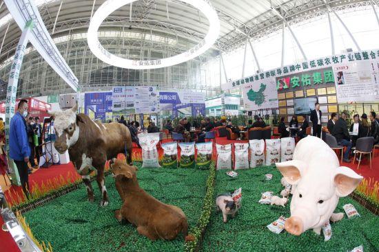 第二十九届东北三省畜牧业交易博览会将在哈尔滨举办