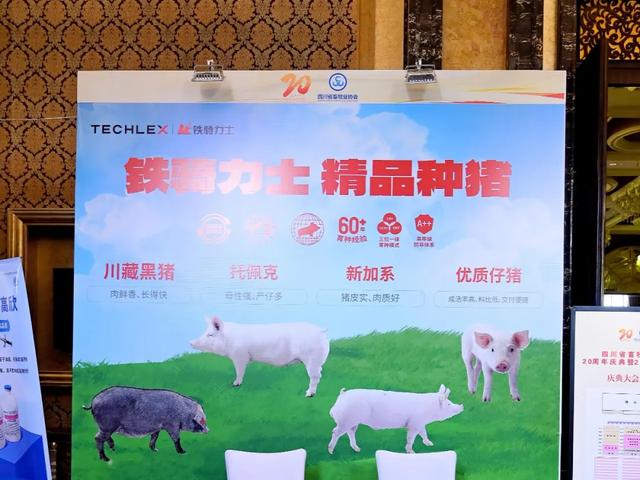 畜牧群英同聚首，铁骑力士再添荣—四川省畜牧业协会20周年庆典！