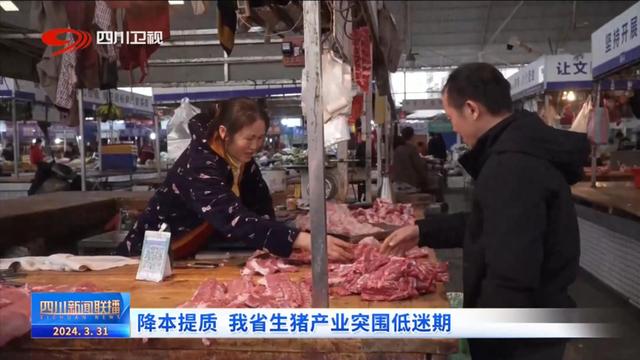四川新闻联播丨降本提质 我省生猪产业突围低迷期