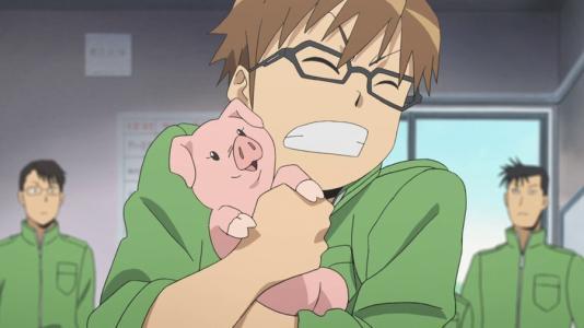 这部日本动画简直绝了，养猪又种菜，堪称动漫界的中央七台！