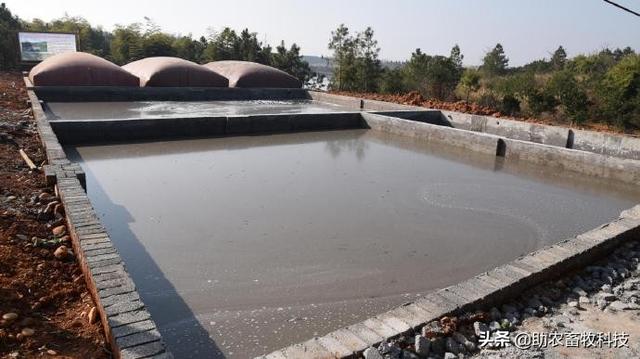 水泡粪猪场如何防控非洲猪瘟和解决养殖中臭味及粪污处理的难题？
