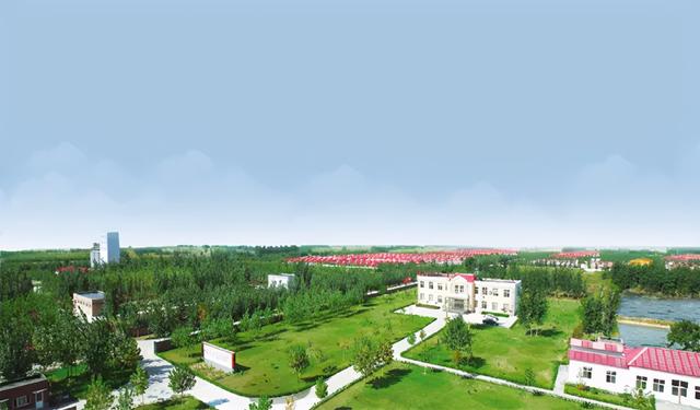 定了！石家庄这91家企业被评为河北省农业产业化重点龙头企业