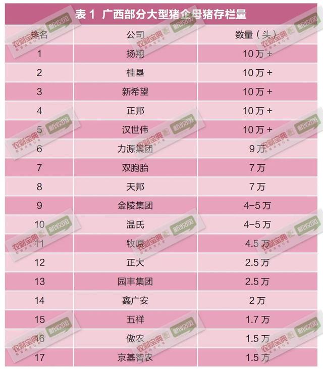 广西猪业调研报告｜32个养猪大县！至少17家企业存栏母猪过1.5万头