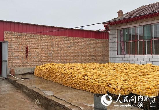 内蒙古土默特左旗：特色产业助推乡村振兴