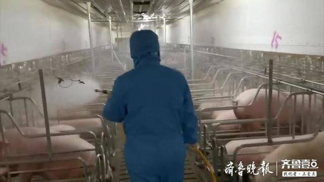 菏泽曹县：优先复工畜牧企业，保障“菜篮子”供给