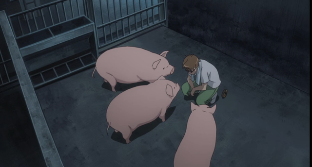 这部日本动画简直绝了，养猪又种菜，堪称动漫界的中央七台！