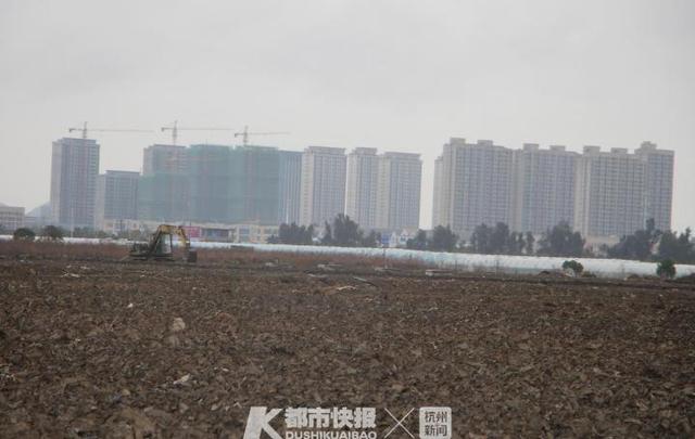 温岭箬横：浙江省集中养殖量最大的生猪养殖场