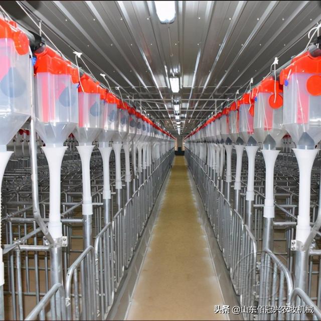 猪场自动化供料系统的运行方式及保养技巧