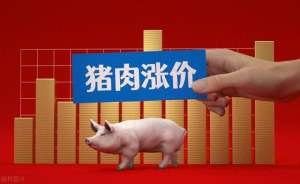 福建省畜牧养猪报价(今日生猪价格，4月26日，全国猪价经历了先跌后涨的波动，整体弱)