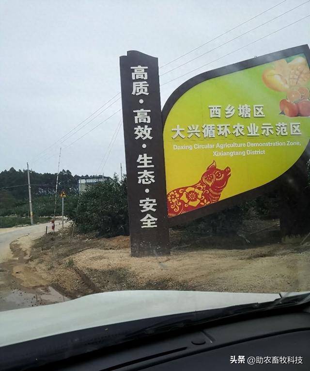 广西南宁市这家大型猪场用益生菌解决了氨气臭味深受饲养人员喜爱