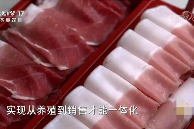 四川男子用黄精喂猪，猪肉开水直接涮，靠养猪年销售额700万