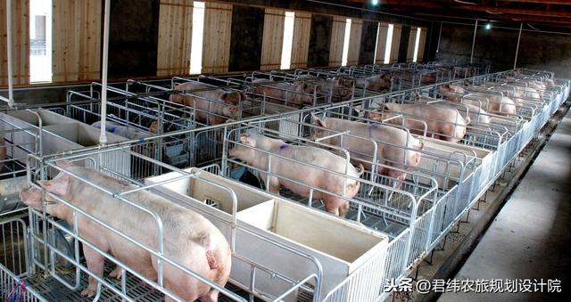 微生态发酵床养猪技术示范可行性报告