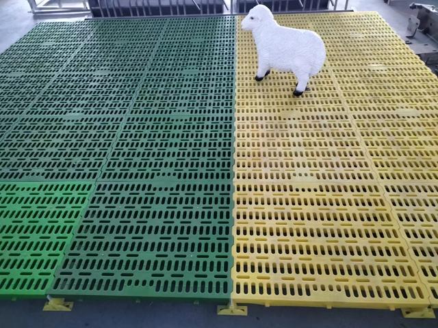 塑料羊床（漏粪板）加工现场！全自动机器生产见证科技力量