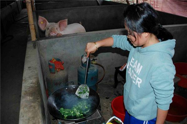 初中女孩儿进山养猪，每天省吃俭用只为救劳累过度的母亲……