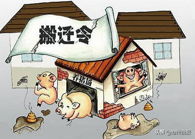 青县的王某在“荒地”上建起养猪场，却被同村的找上门
